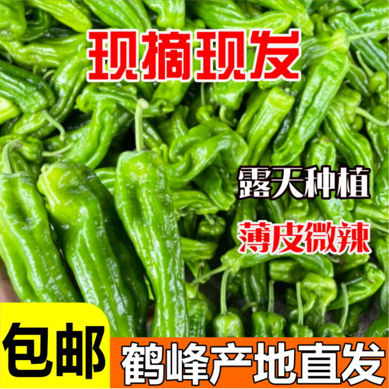 恩施现摘辣椒芜湖椒大辣椒不辣现摘现发