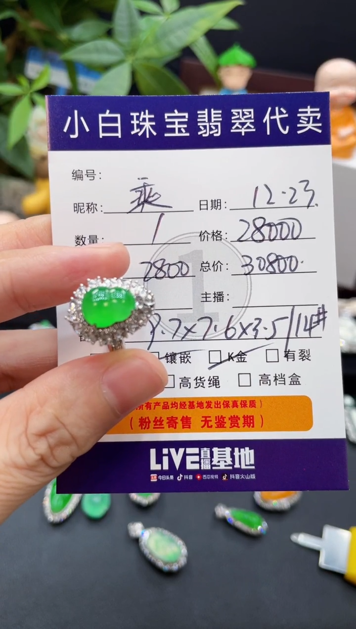 吊坠(不含链)18K金镶嵌翡翠乘***?吊坠