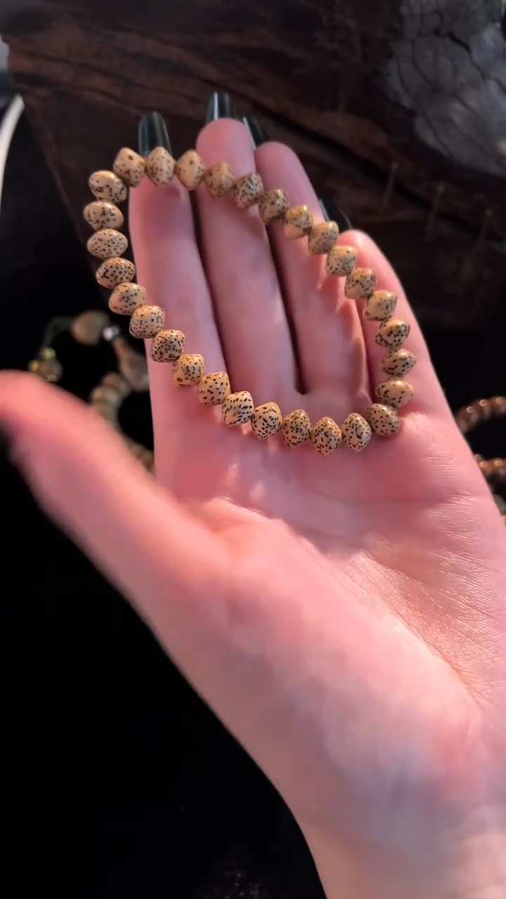 手串星月菩提精工级陈籽飞碟手串