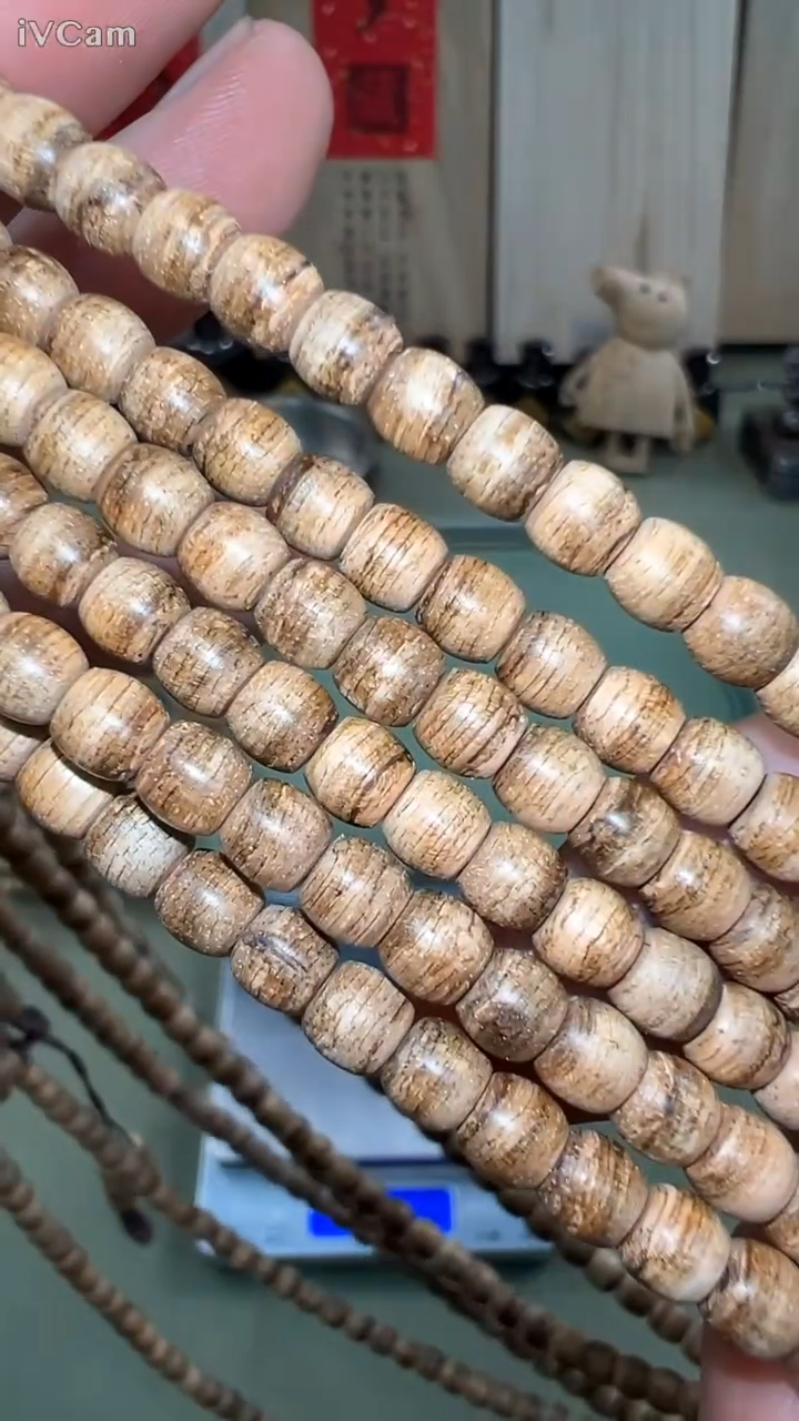 达拉干鼓珠念珠多样性发其一