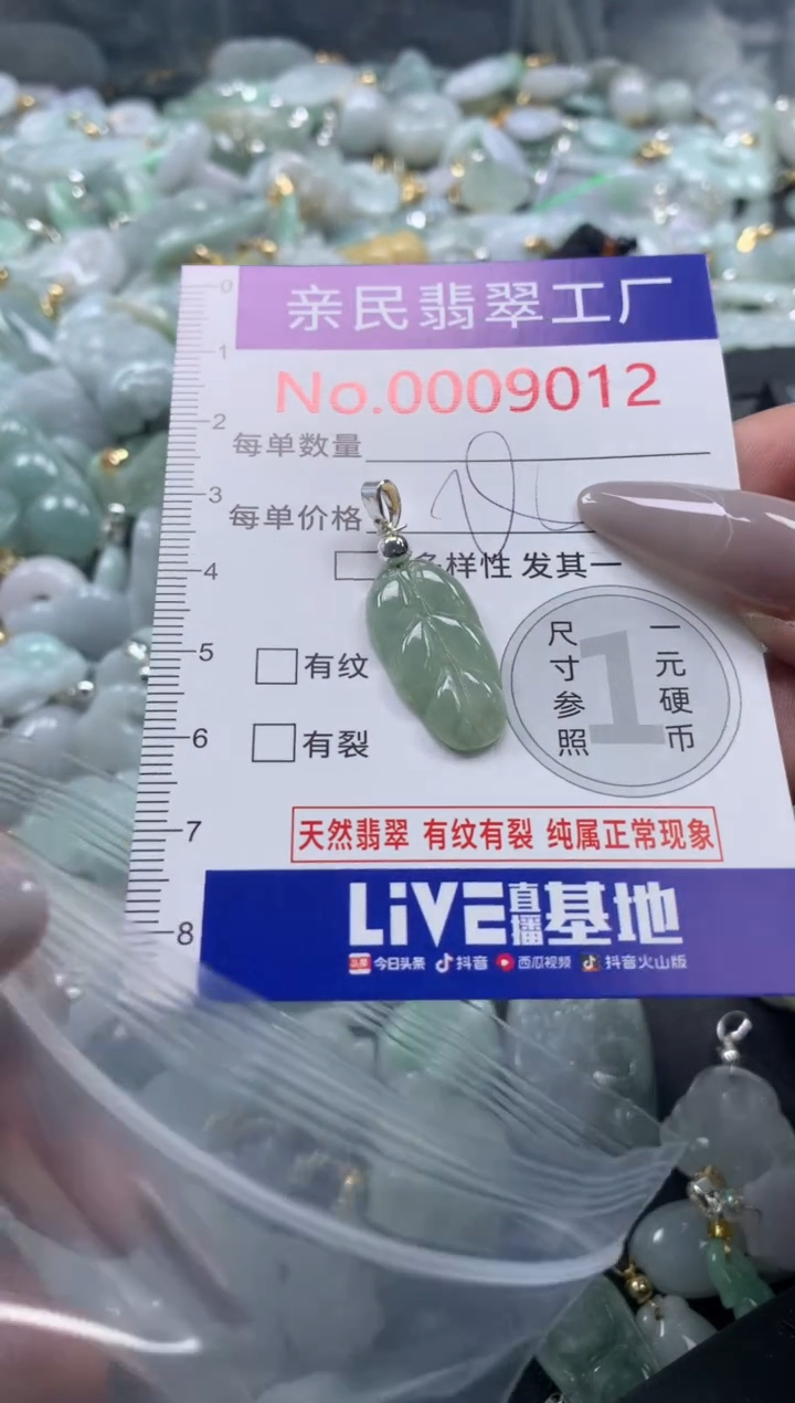 颈饰未镶嵌翡翠9012