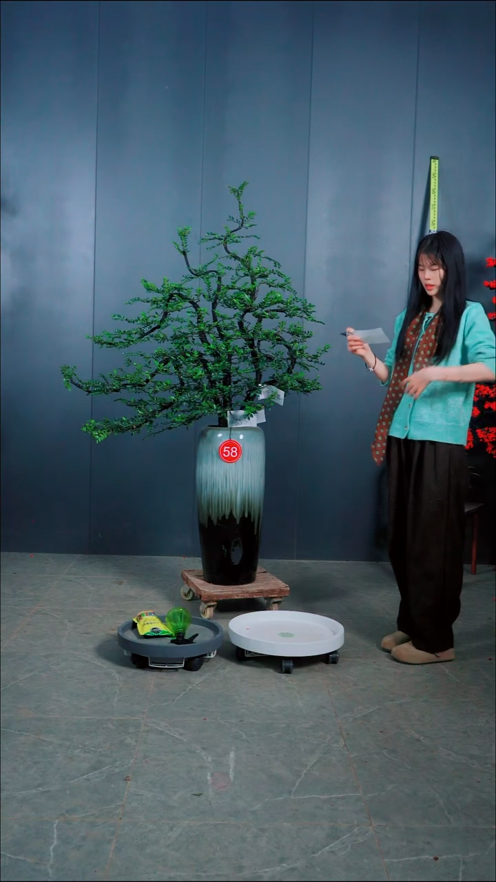 无花朵❥**饱广东小叶紫檀58号.