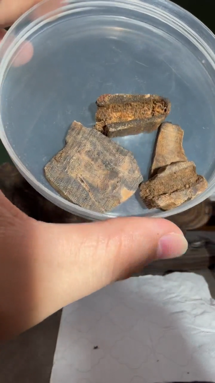 沉香沉香香囊多样性发一