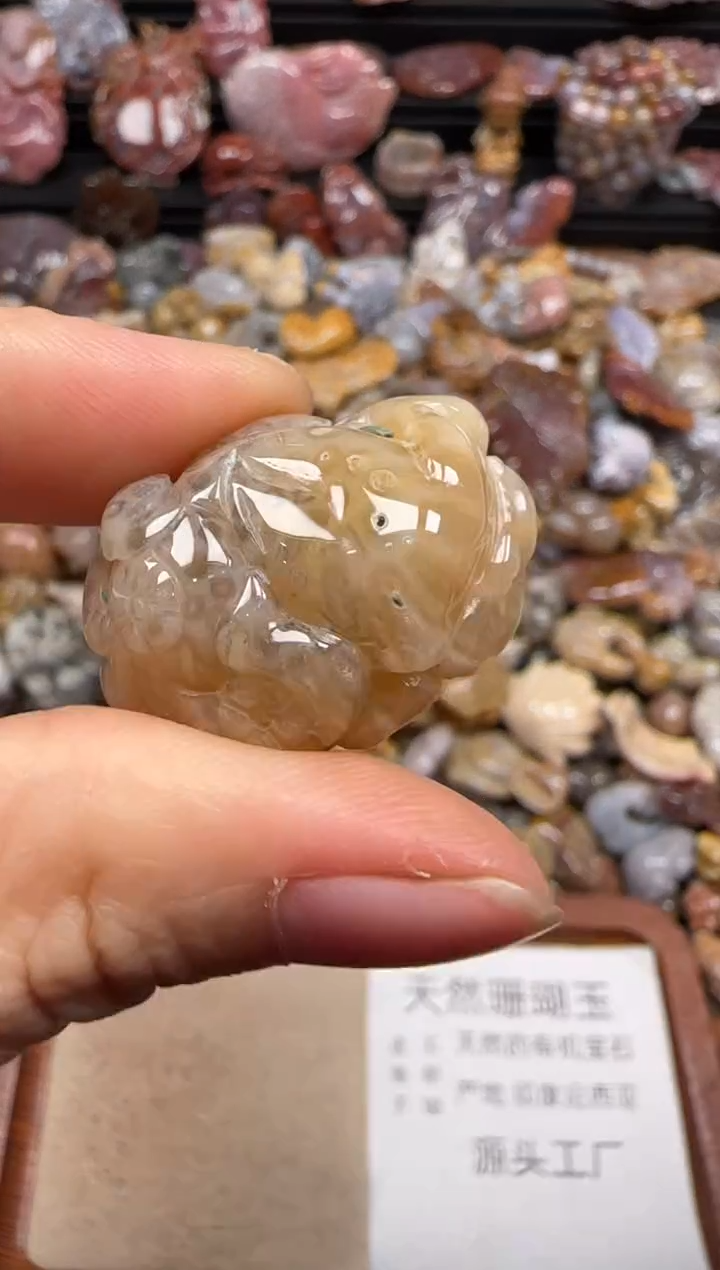 【闪购商品】硅化珊瑚（珊瑚玉）颈饰未镶嵌497