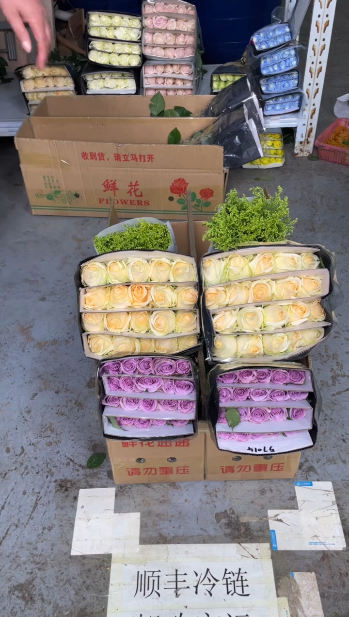 香槟20枝+海洋之歌20枝+黄莺