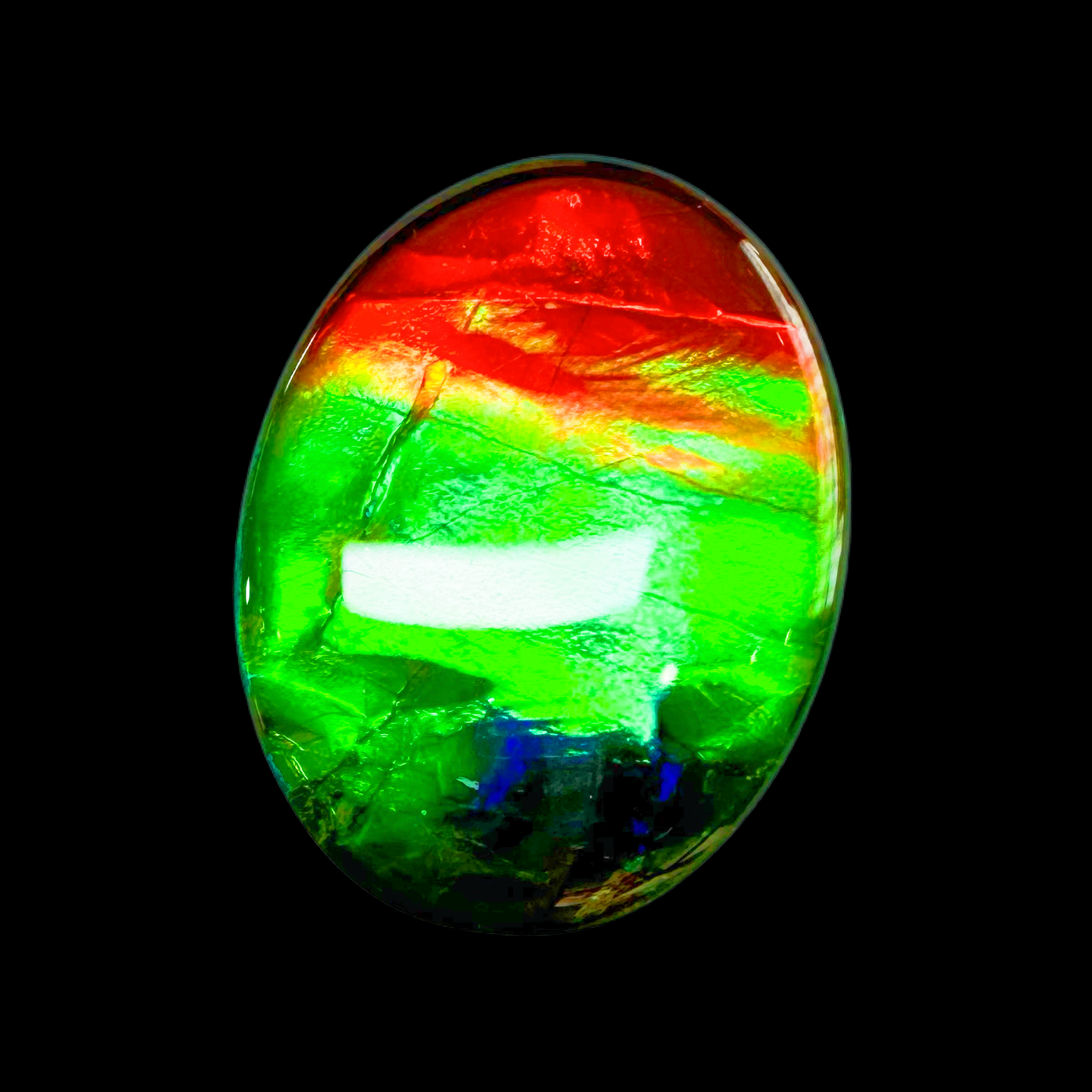 【斑彩】20mm 三色 原石 产地：加拿大 古贝壳 N-36 BC B32