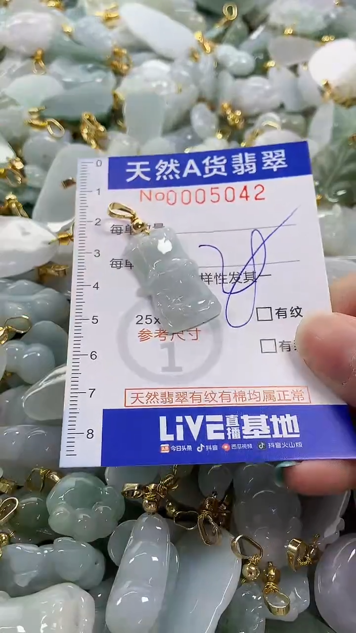 颈饰未镶嵌翡翠纯天然货翡翠