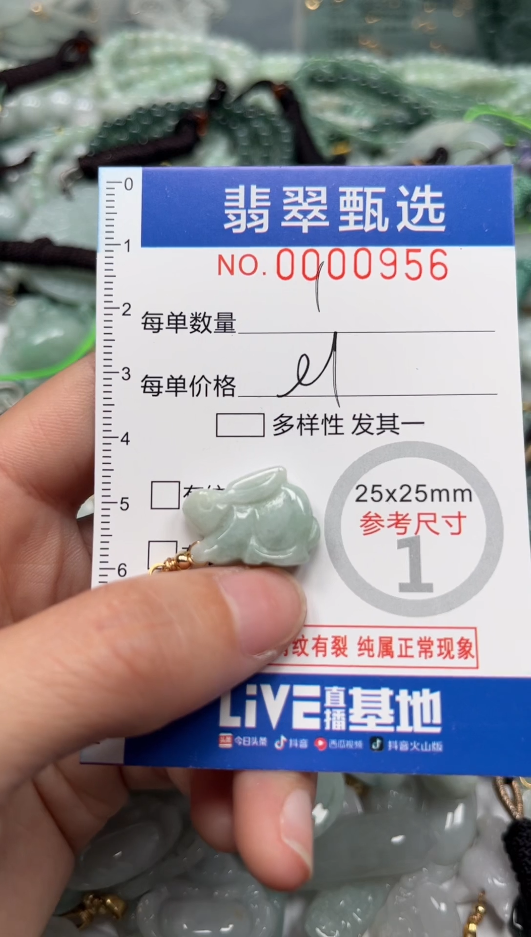 【闪购商品】翡翠颈饰未镶嵌00..0956