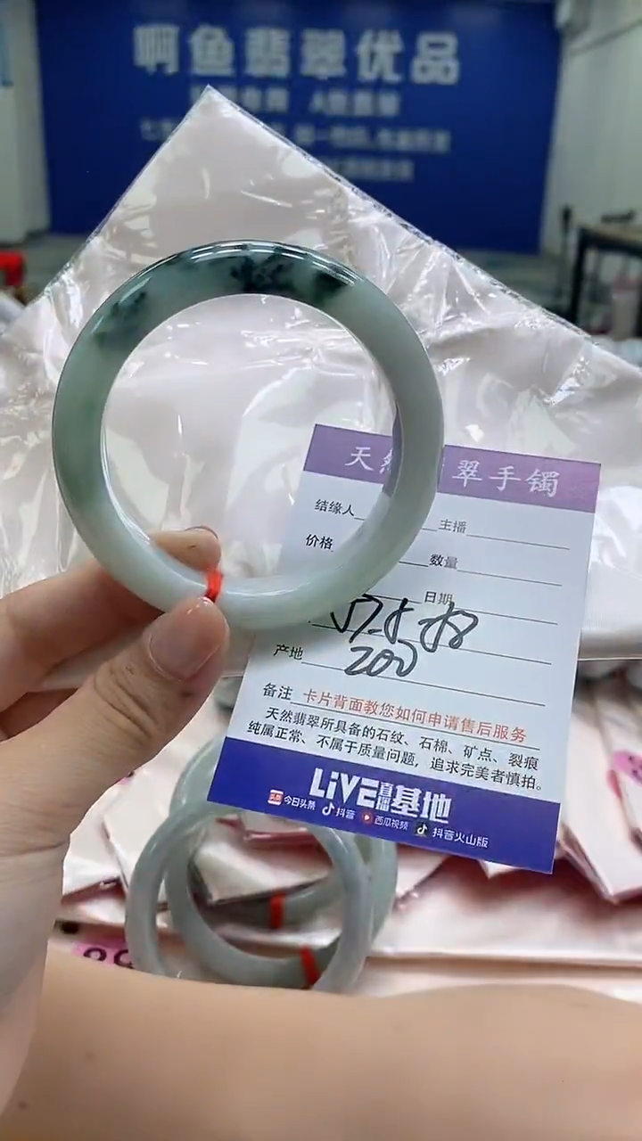 未镶嵌手镯翡翠113