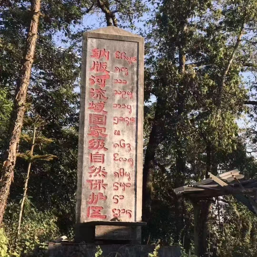 云南普洱生茶2025年易武百花潭保护区古树生茶散料100克