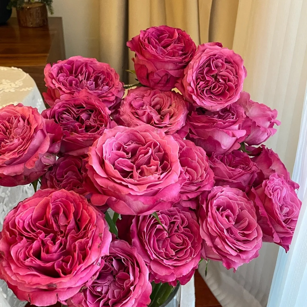 长相思【植末-单头玫瑰】1单中通，3单顺丰冷链