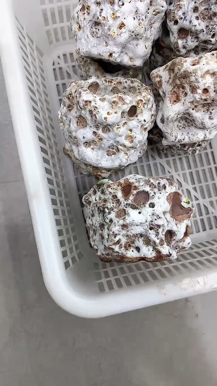 【闪购商品】瓷片陶瓷茶器福利89