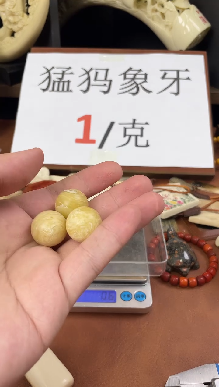 猛犸社会牛2.0m圆珠单颗