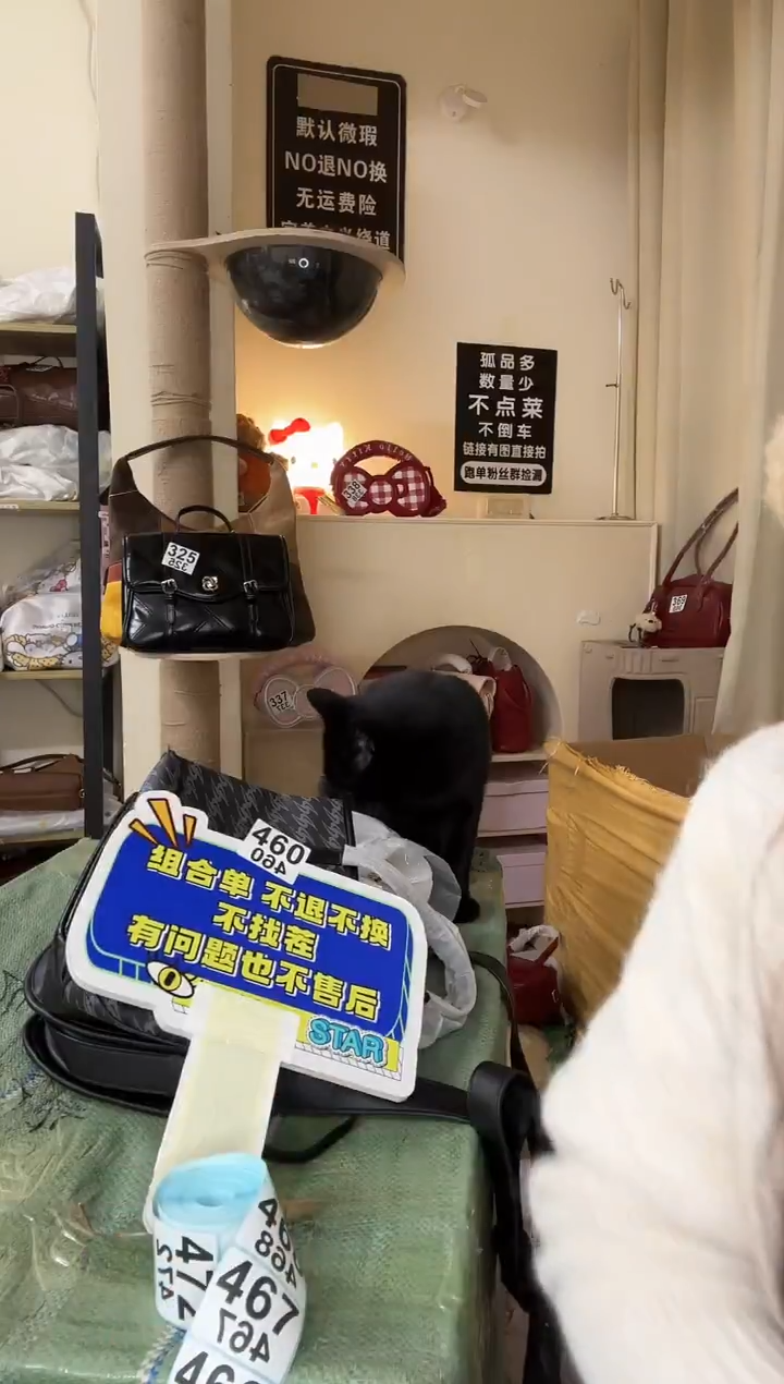 pu悦*以直播链接为准 默认有瑕 组合460