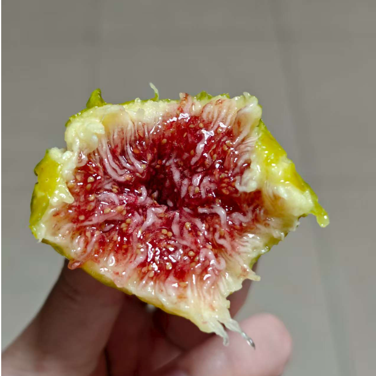 [小飞严选]无花果新鲜多品种爆蜜款（22-24颗以实际收到为准）