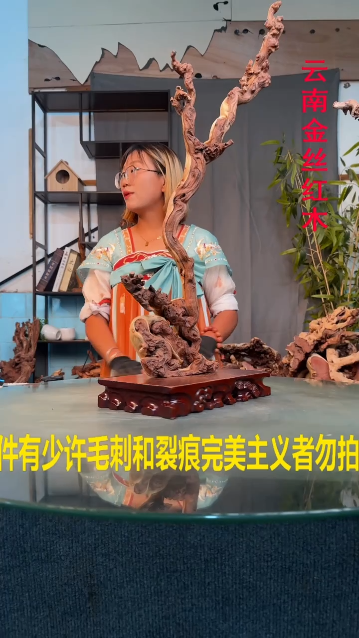 木潜*员金丝红木金丝红木H654
