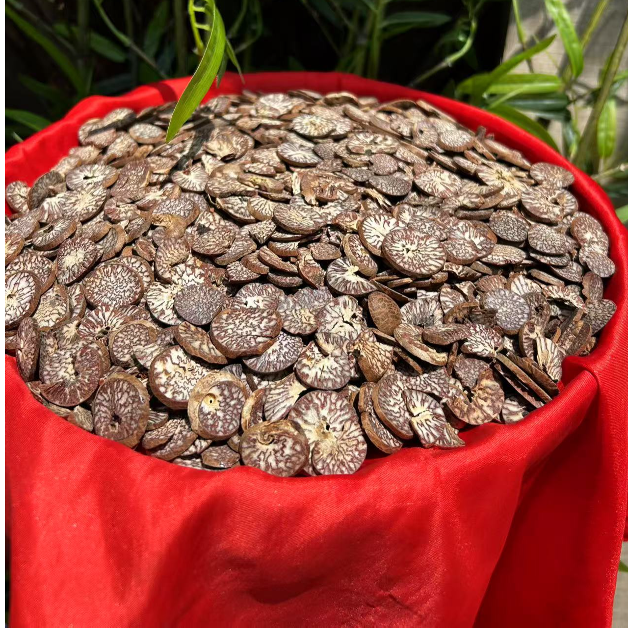 1【清-瘴-丹】净含量：250-1500g【小田现收】