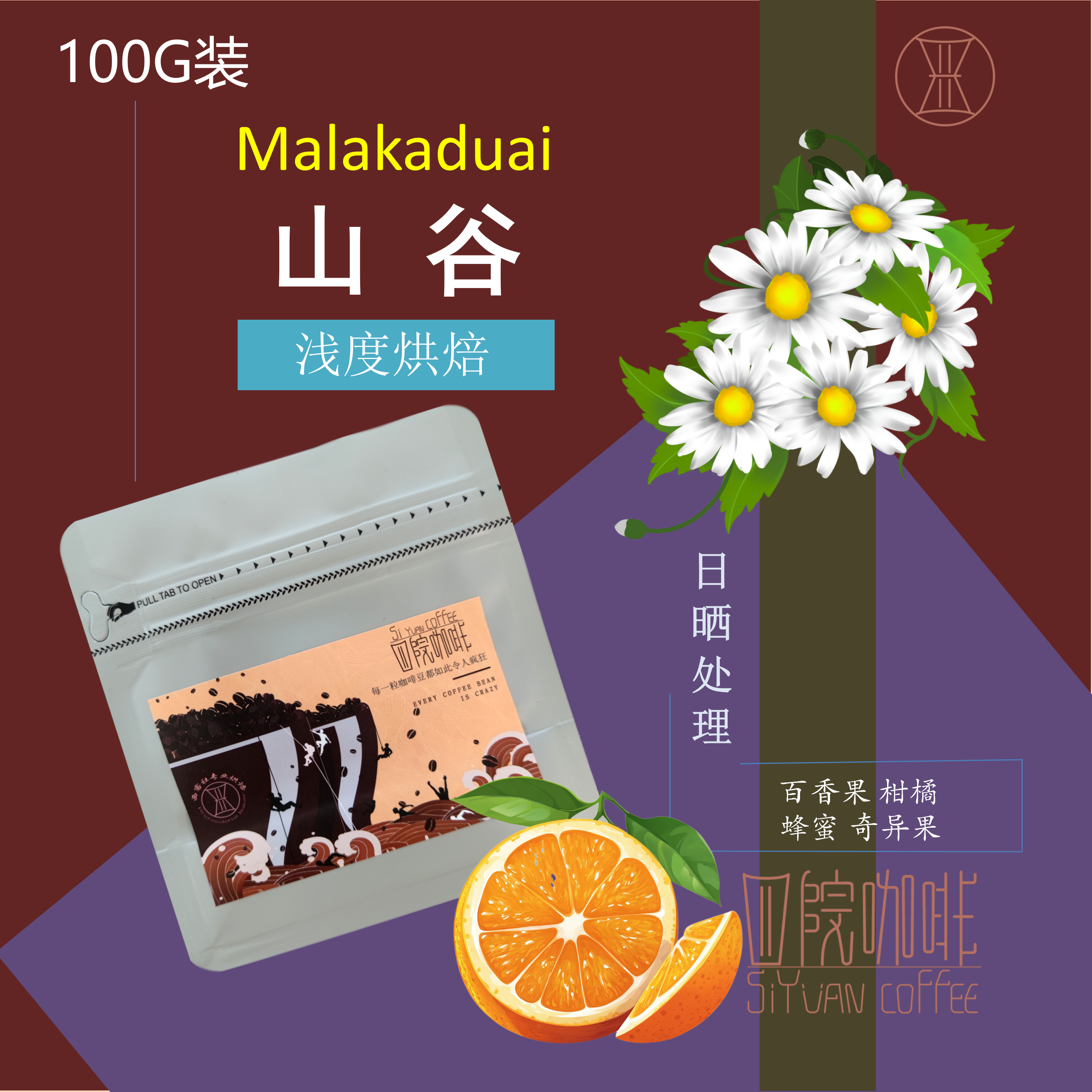 山谷 尼加拉瓜 贝瑟尼亚 日晒 浅度 咖啡豆 100g