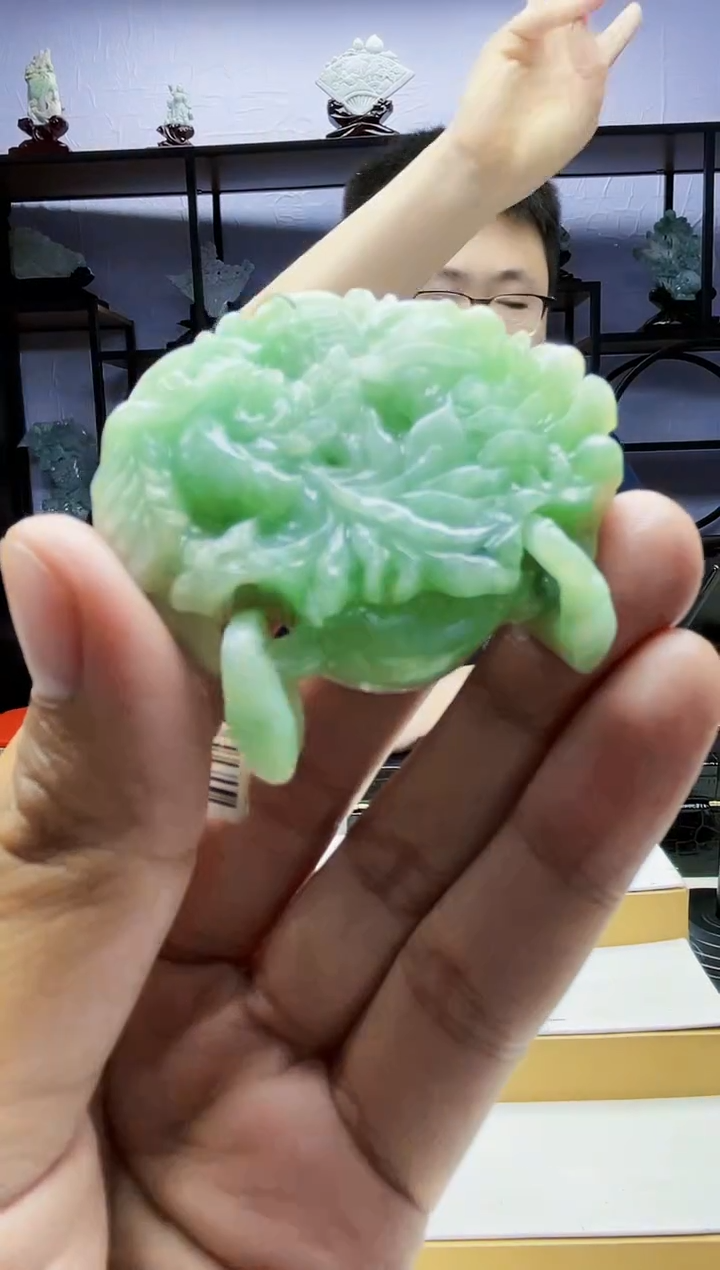 【闪购商品】定制翡翠未镶嵌毛货02030027多样性发其一