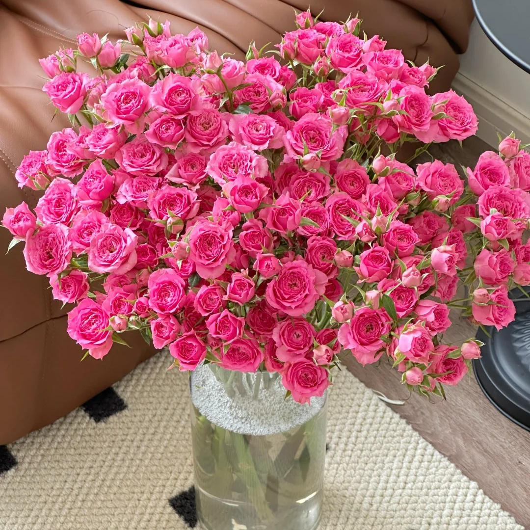 【10支苏菲宝贝多头玫】家居生活鲜花次日达昆明基地鲜花批发包邮鲜花