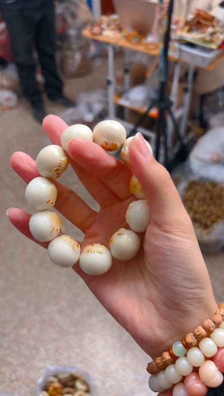 吊坠菩提根/象牙果KT单圈