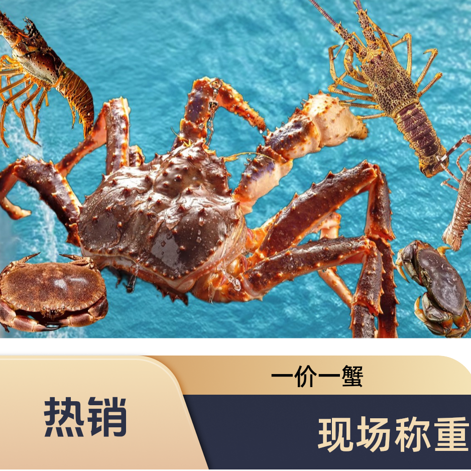 直播现场称重 一单一价波龙帝王蟹松叶蟹等