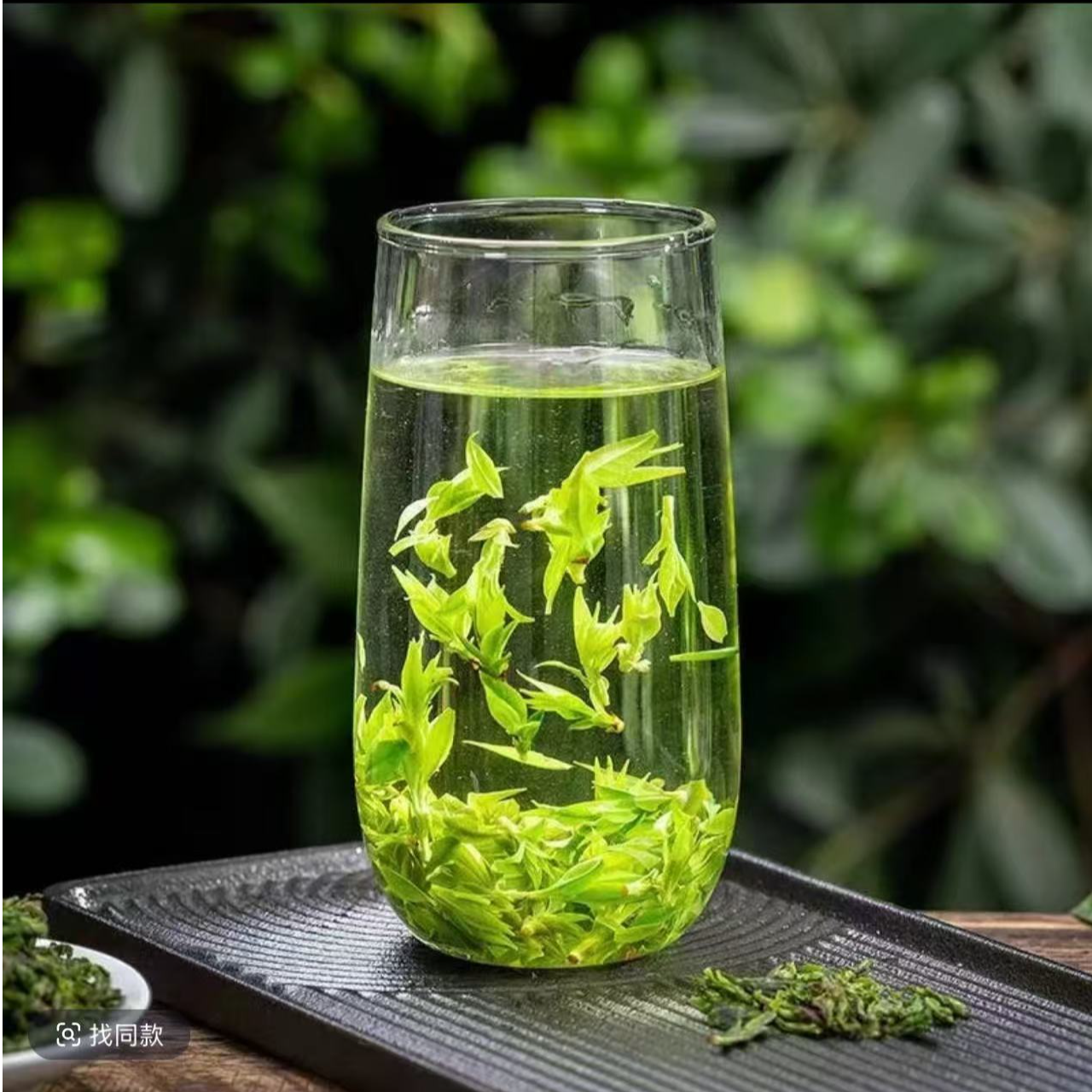 【春知雨2025新茶】2025新茶小叶苦丁250g/500g