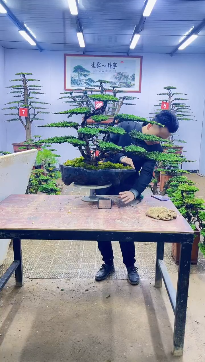 【闪购商品】一物一拍，所见即所得