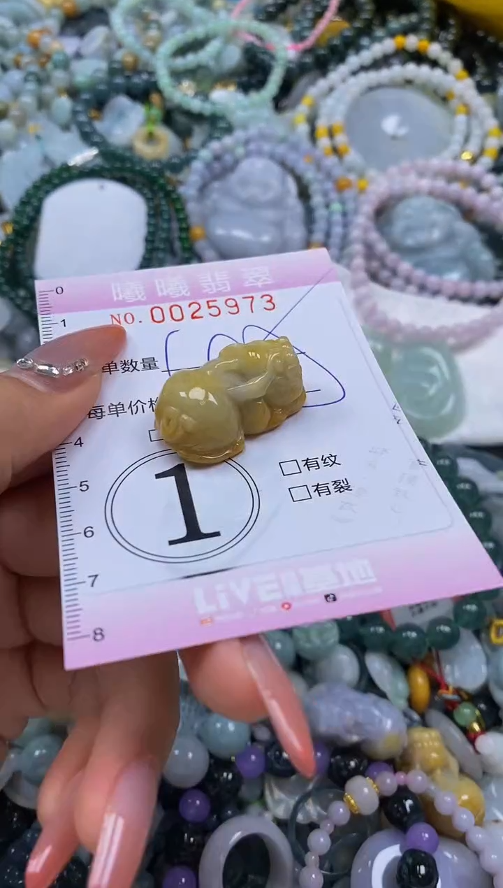 翡翠未镶嵌颈饰闪购0025973