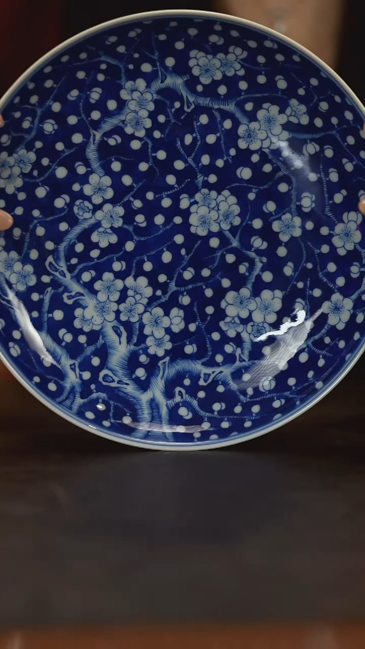 【闪购商品】瓷片占春生          