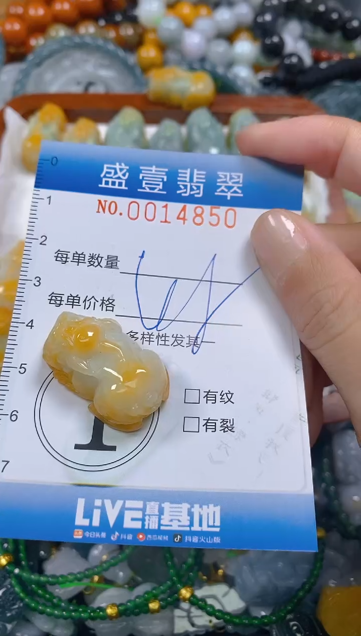 颈饰未镶嵌翡翠止**苔闪购0014850