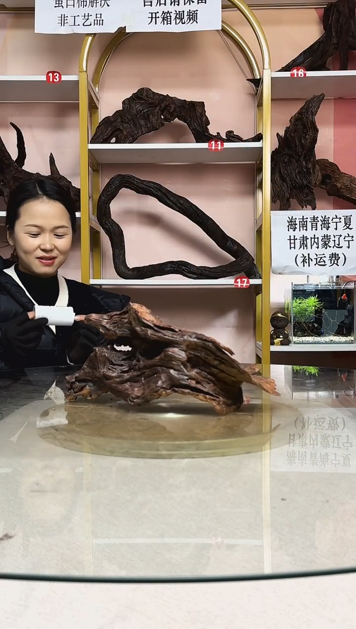 文****者鱼缸造景沉木A890