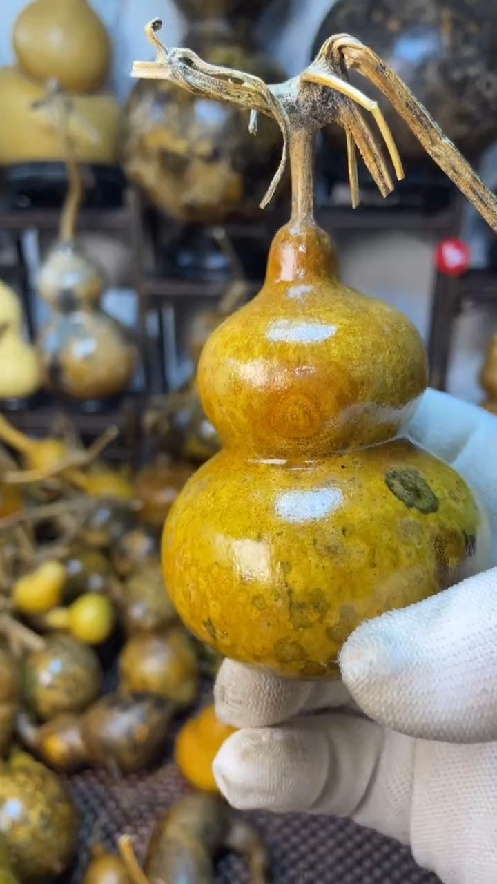 【闪购商品】葫芦葫芦葫芦葫芦