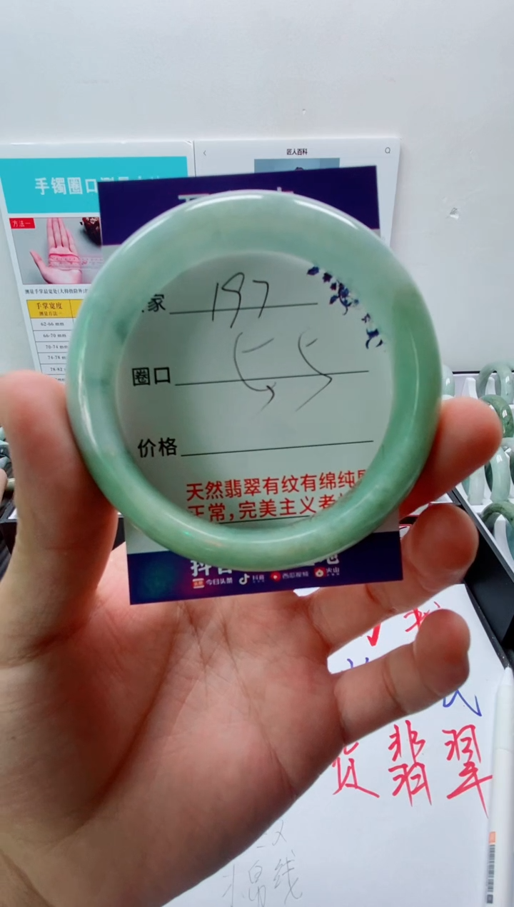 未镶嵌手镯翡翠谁**訫197