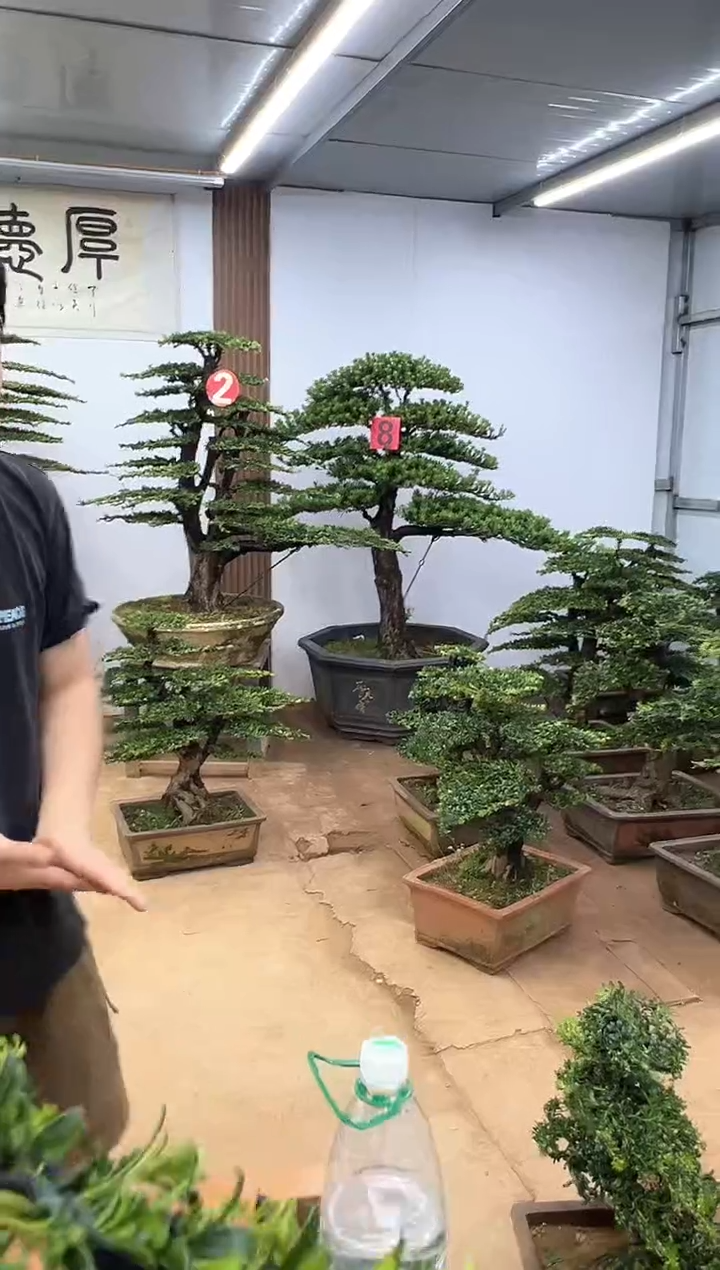 无花朵尚**者00000000000000