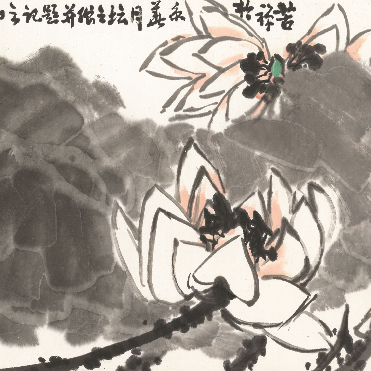 苦禅版画:《大白荷》尺寸：34x45