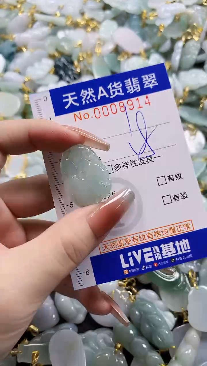 颈饰未镶嵌翡翠天然A货翡翠