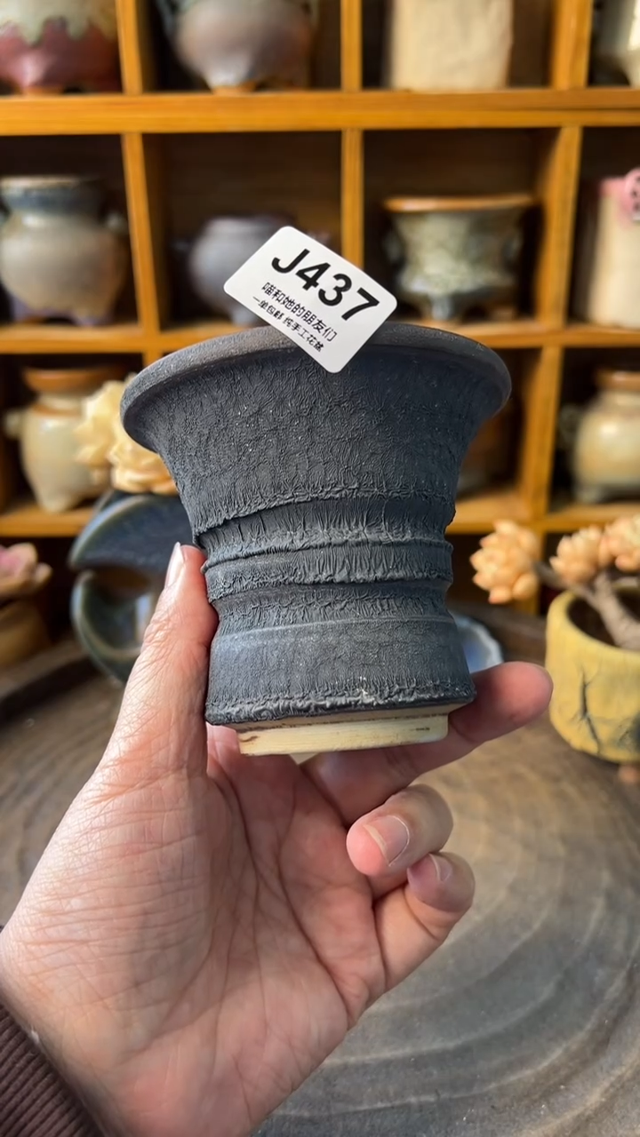 437 内口8【多肉花盆多肉盆】