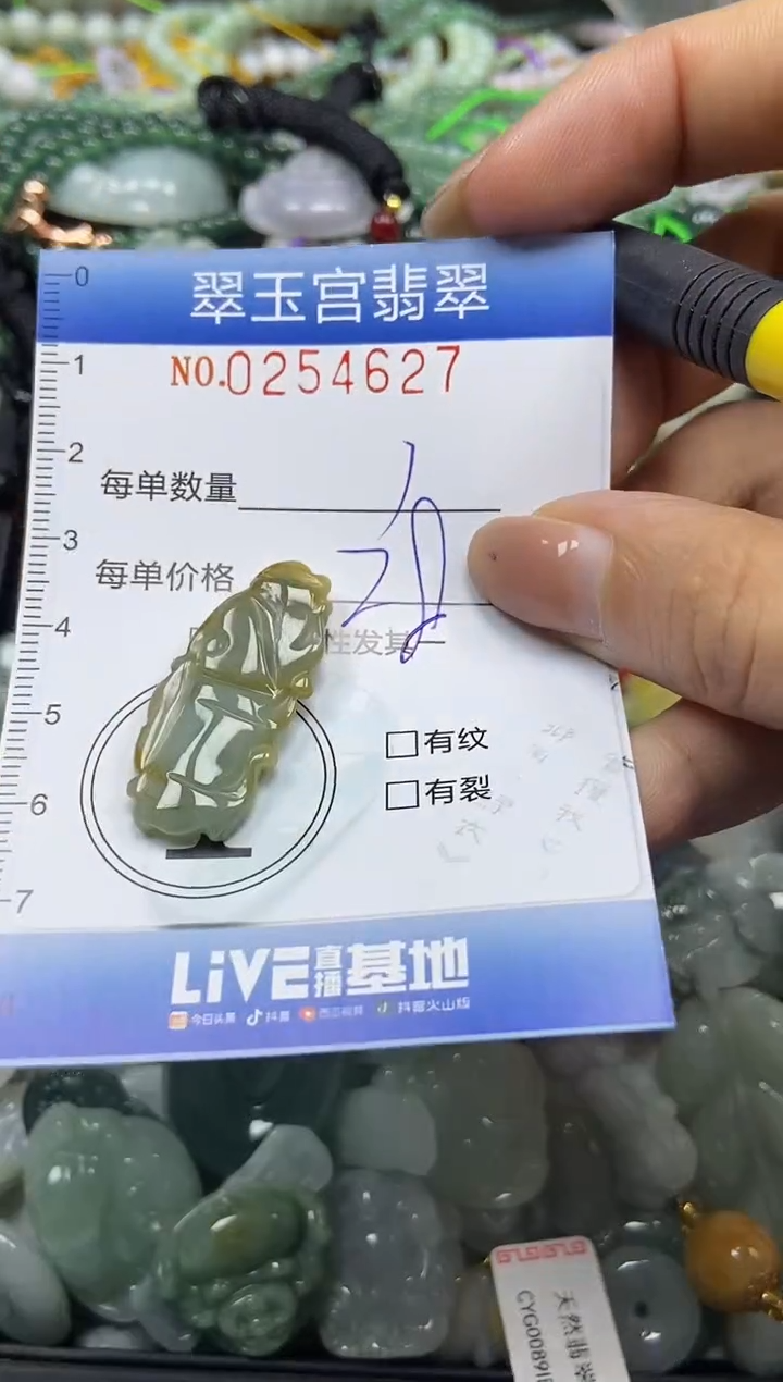 颈饰未镶嵌翡翠闪购C0254627