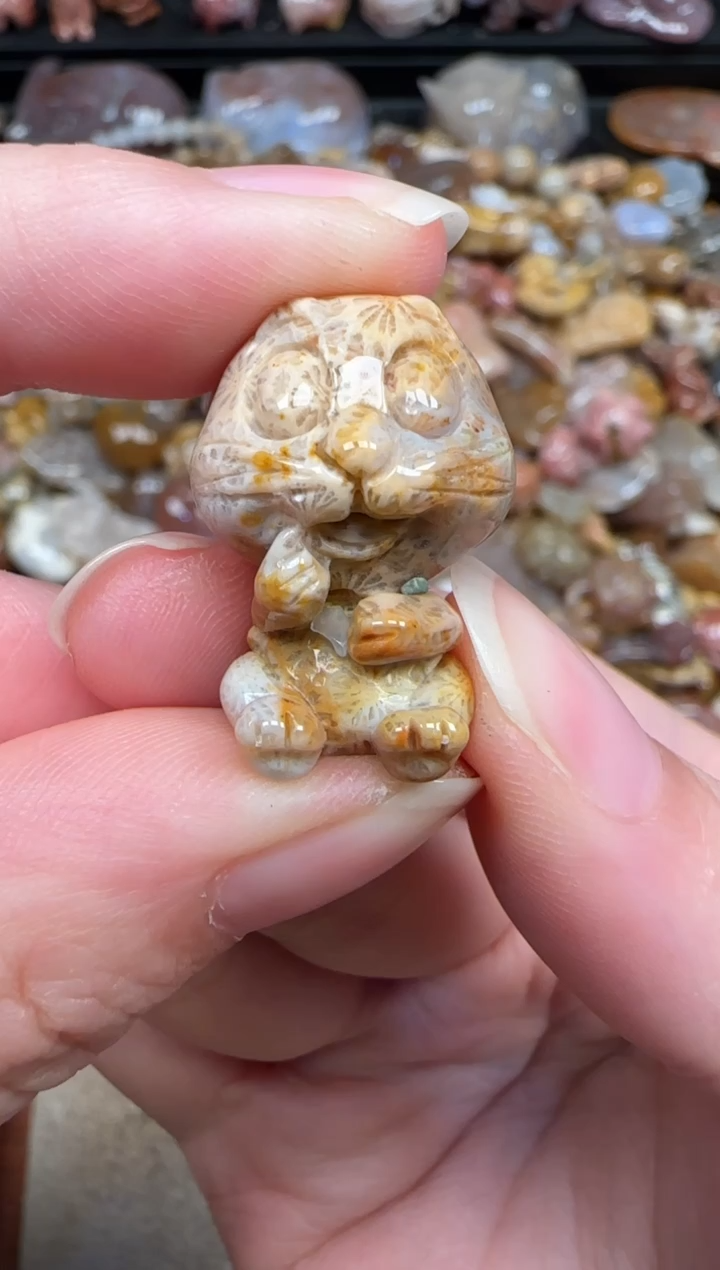 颈饰未镶嵌硅化珊瑚（珊瑚玉）797