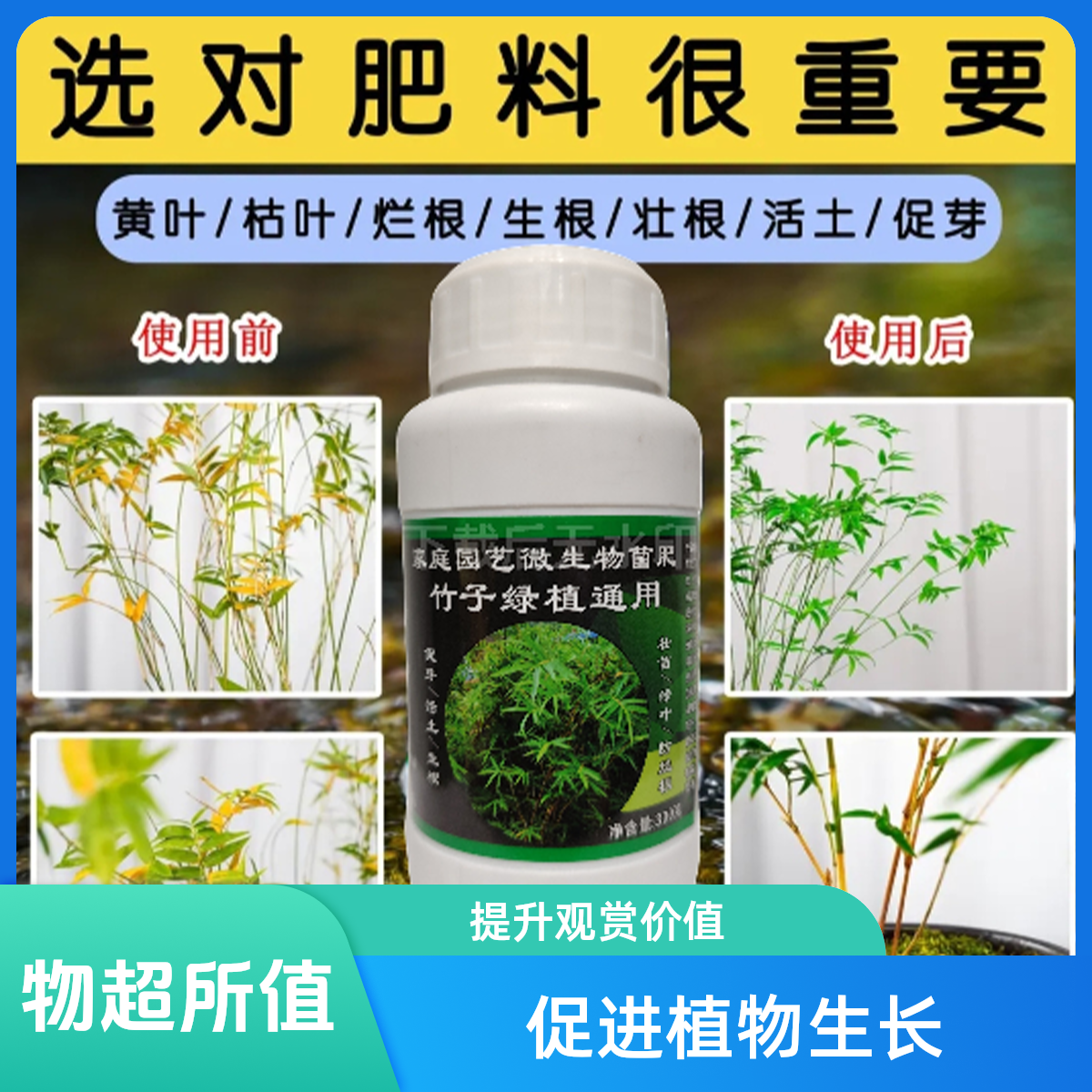 竹子专用肥红观音竹红寒竹簕竹米竹有机肥营养液颗粒肥肥料叶面肥