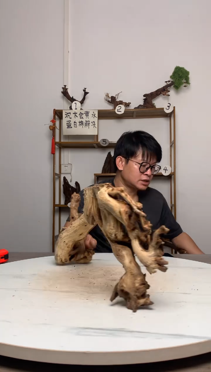 皮***¥鱼缸造景沉木摆件