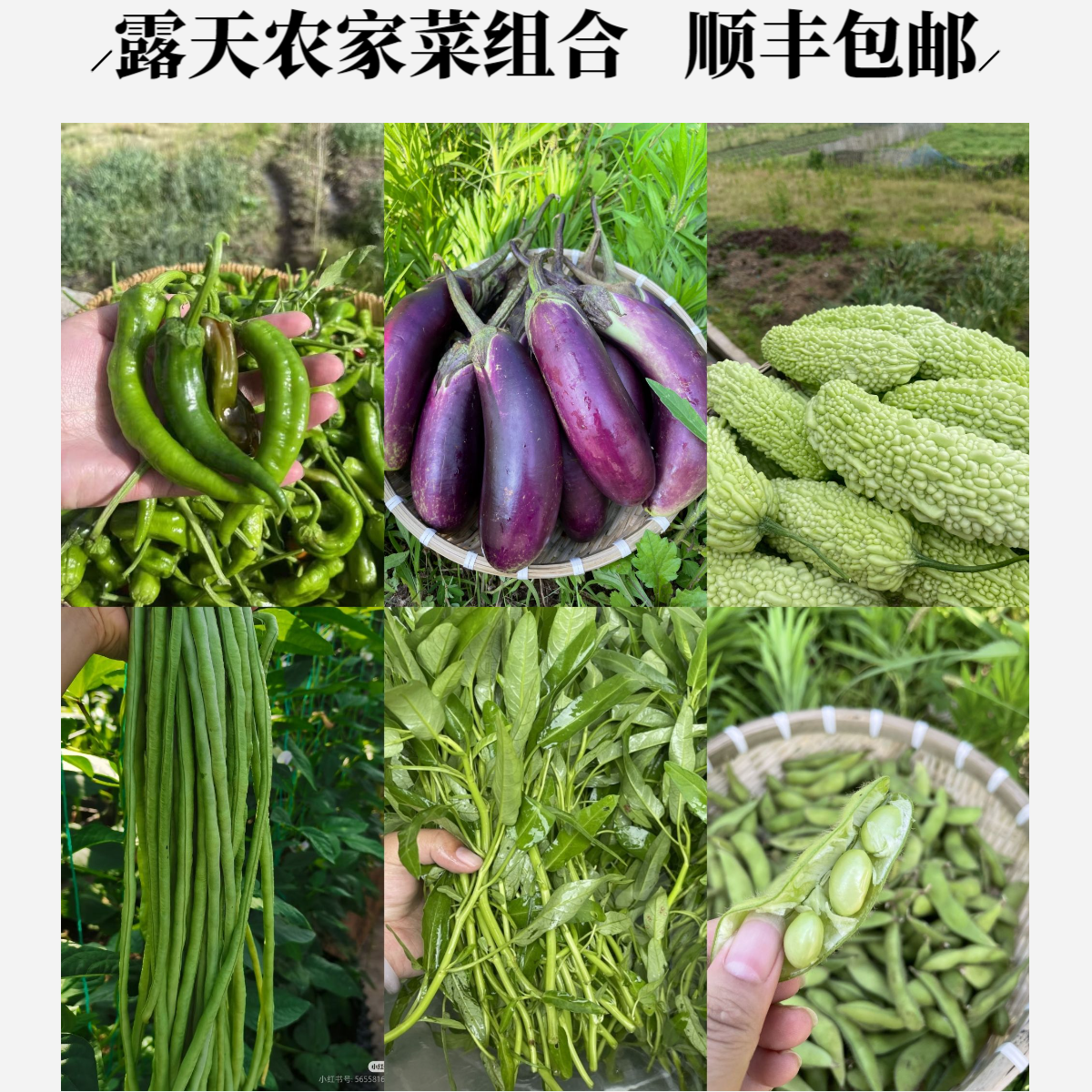 任选多种当季新鲜蔬菜组合装农家豆角青椒美味农家菜农家新鲜蔬菜