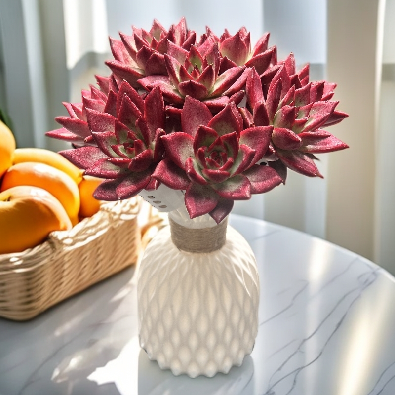 【②号】无土多肉--卡宴满堂红花束套装SP（11枝）