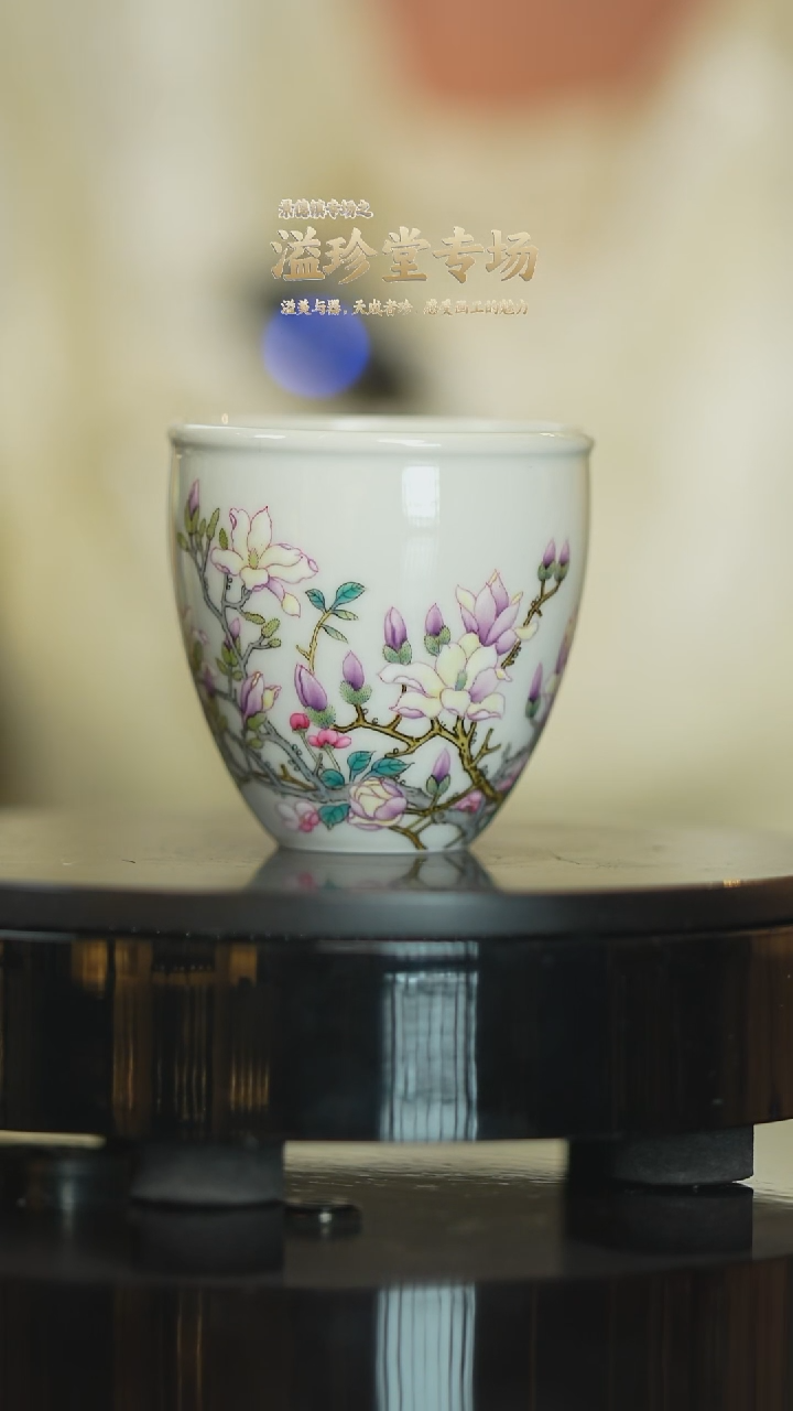 溢珍堂茶具茶器茶杯