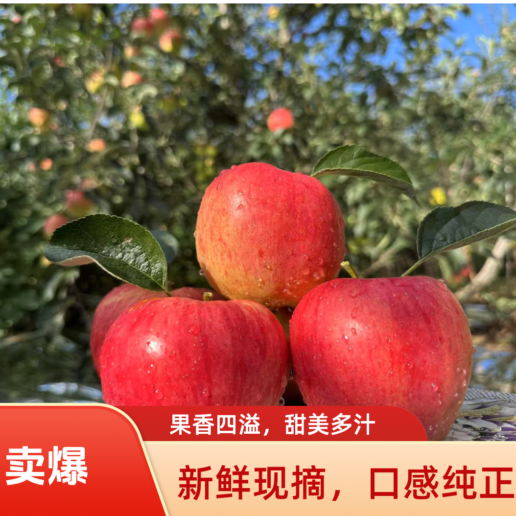 云南昭通高原丑糖心苹果新鲜脆甜多汁当季现摘产地直发大苹果冰糖