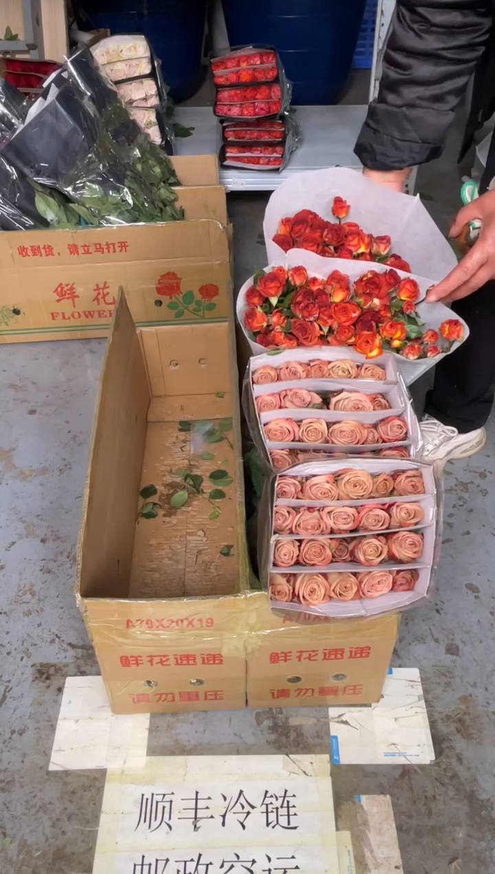 卡布2扎+巧克力2扎