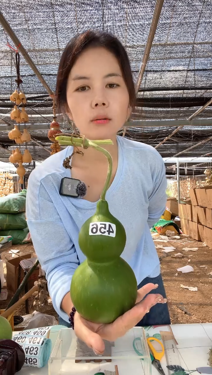 456天然葫芦摆件 一物一拍龙头不保售后