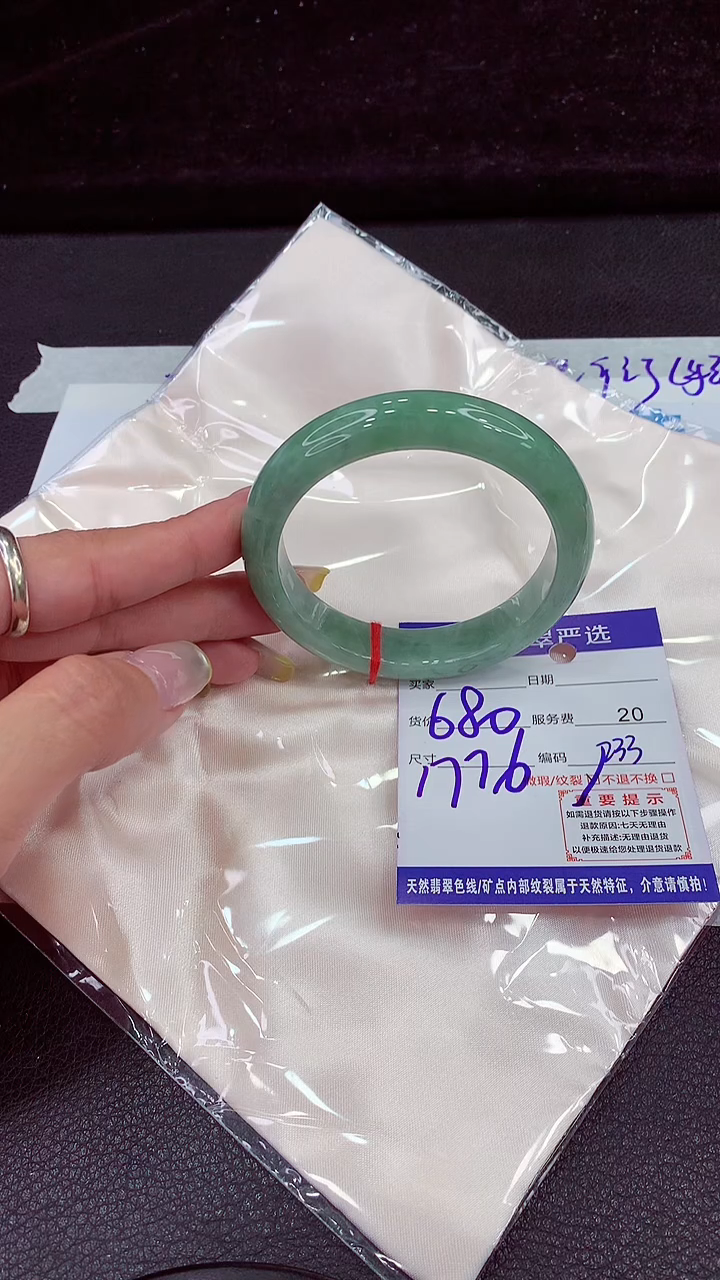 未镶嵌手镯翡翠1