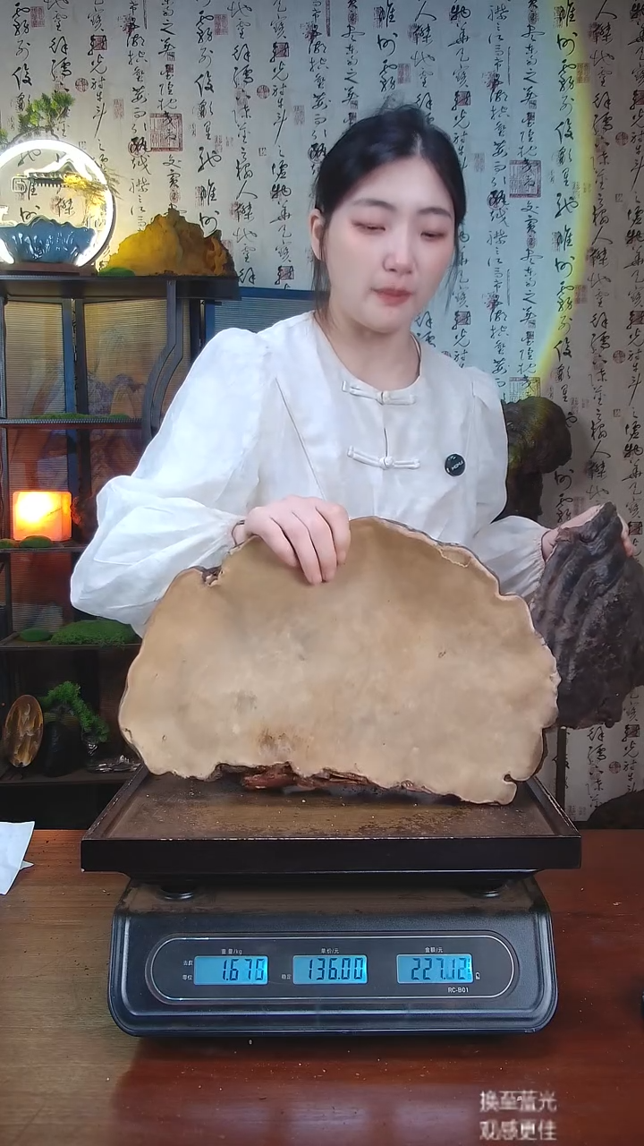 红缘拟层孔菌中国大陆【藏区 野生】红缘树舌（3.37斤）40-50年份